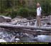 Log Bridge